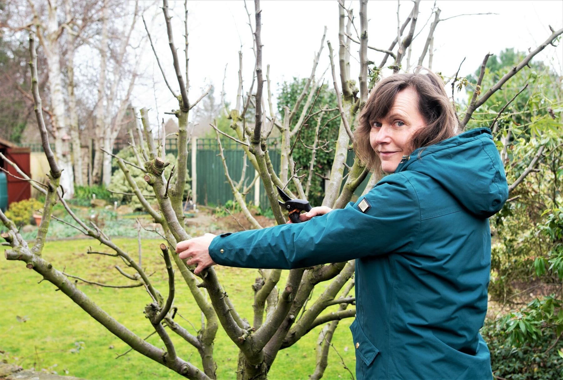 Comment s&rsquo;occuper de son jardin en f&eacute;vrier ?