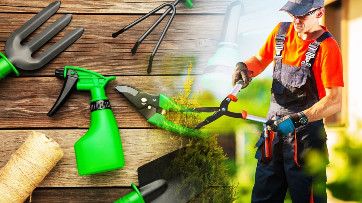 Quels outils indispensables pour entretenir votre jardin ?
