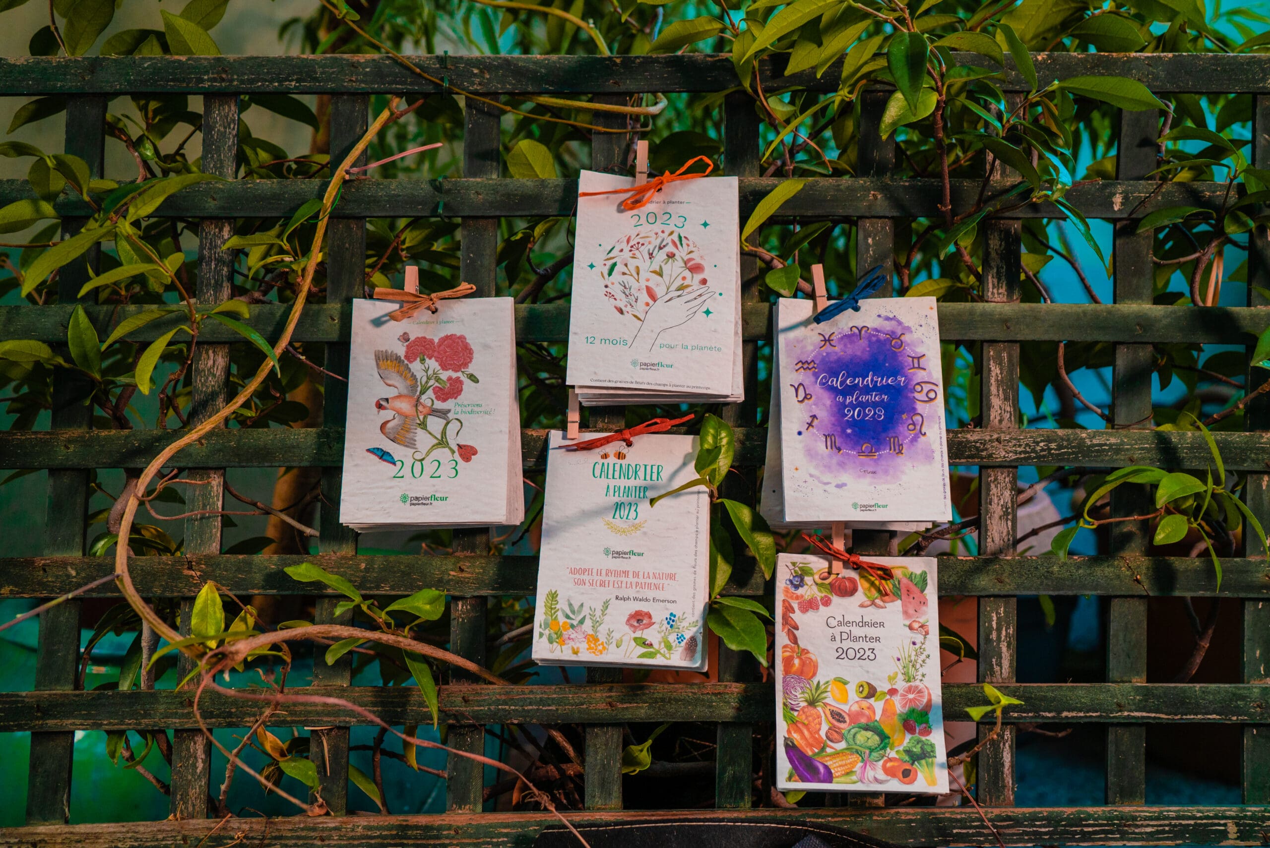 R&eacute;inventez votre No&euml;l : Comment transformer vos ampoules usag&eacute;es en d&eacute;corations f&eacute;eriques