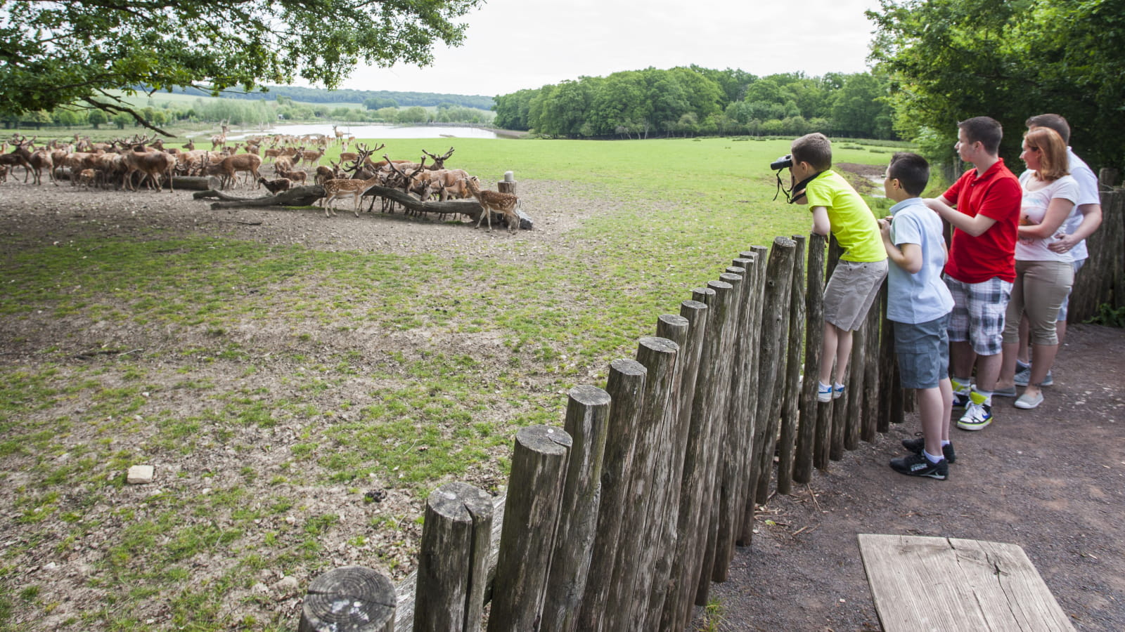 Famille observant des animaux dans un parc animalier