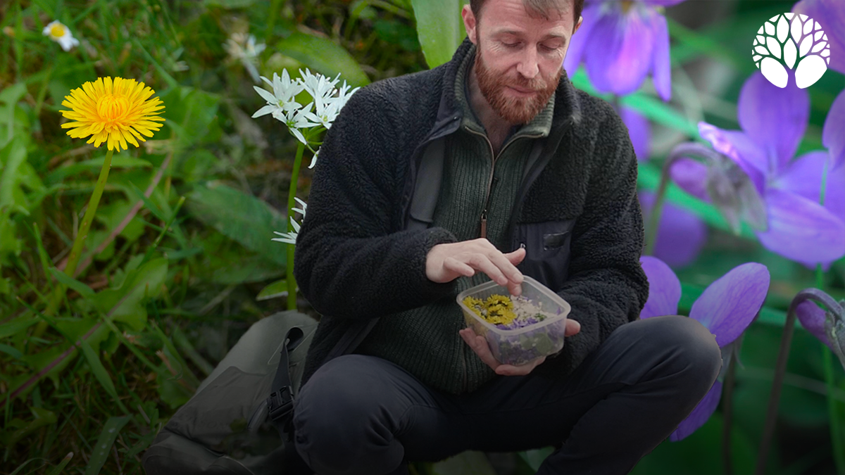 Plantes vertes, tisane et carnet posés dans un espace bien-être lumineux